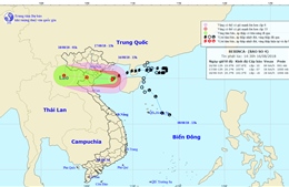 Đêm nay 16/8 bão số 4 sẽ đổ bộ vào Quảng Ninh - Nghệ An