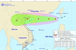 Các tỉnh, thành phố Bắc Bộ và ven biển Quảng Ninh đến Quảng Nam chủ động ứng phó với bão số 5