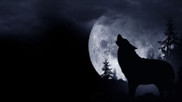 Đêm nay 20/1, Siêu trăng-Trăng máu-Trăng sói sẽ xuất hiện cùng lúc