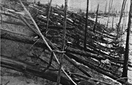 Bí ẩn thế kỷ về vụ nổ &#39;siêu khủng&#39; xoá sổ 80 triệu cây cối ở Siberia, Nga