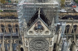 Làm thế nào để tái thiết một kiệt tác Gothic như Nhà thờ Đức Bà
