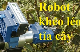 Robot khéo léo tỉa cây như thợ làm vườn thực thụ