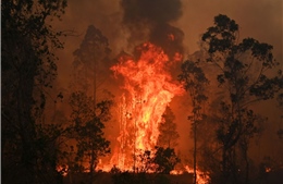 Cháy rừng Australia khủng khiếp hơn, 6 triệu người trong tình trạng khẩn cấp