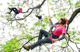 Phụ nữ Đài Loan thích thú với Macho - môn &#39;trèo cây kiểu Mỹ&#39;