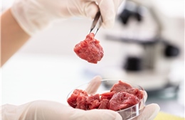 Singapore chính thức cấp phép bán &#39;thịt nuôi cấy’ trong phòng thí nghiệm