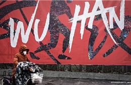 Vì sao giới khoa học quan tâm giả thuyết COVID-19 rò rỉ từ phòng thí nghiệm