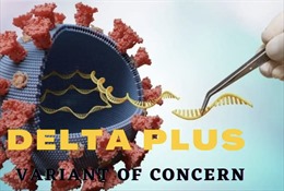 Biến thể virus Delta Plus nguy hiểm như thế nào?