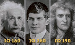 Bi kịch của người thông minh nhất thế giới, IQ vượt xa Einstein, Newton