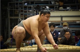 Vì sao người Mông Cổ thống trị Sumo, môn võ tinh hoa của Nhật Bản