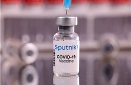 Giáo sư hàng đầu Mỹ giải thích lý do vaccine Sputnik V chống Omicron vượt trội Pfizer 