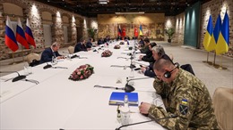 Những điểm sáng trong đàm phán hoà bình Nga-Ukraine ở Thổ Nhĩ Kỳ