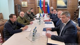 Đàm phán Moskva-Kiev tiến gần hơn tới quy chế trung lập của Ukraine
