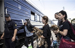 Ukraine lệnh sơ tán bắt buộc 200.000 dân ở Donetsk