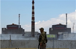 Nga: Biệt kích Ukraine đánh chiếm bất thành nhà máy điện hạt nhân