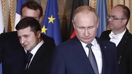 Tổng thống Putin và Zelensky sẽ cùng dự Thượng đỉnh G20