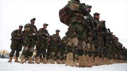 Khả năng các cựu biệt kích Afghanistan tham chiến ở Ukraine