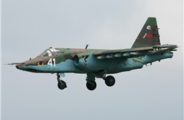 Nga huấn luyện phi công Belarus lái chiến đấu cơ có thể mang vũ khí lắp &#39;đầu đạn đặc biệt&#39;