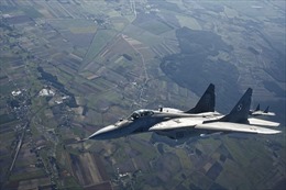 Quốc gia NATO tuyên bố sẵn sàng chuyển giao phi đội MiG-29 nâng cấp cho Ukraine