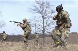 Reuters tiết lộ về lực lượng mới của Ukraine được sử dụng để phản công Nga sắp tới