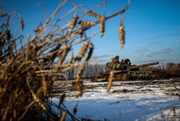 Ngũ cốc Ukraine gây chia rẽ ở châu Âu, EU xử lý khủng hoảng ra sao