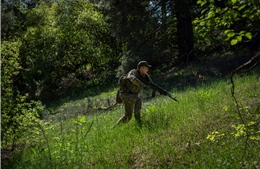 Theo chân Vệ binh Quốc gia Ukraine luyện chiến thuật tấn công dưới các tán rừng rậm