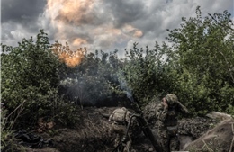 Lý do Ukraine từ bỏ chiến thuật chiến đấu phương Tây, tránh lao vào các bãi mìn