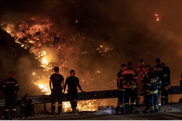 Cuộc chiến đuối sức cứu &#39;lá phổi của Hy Lạp&#39; khi cháy rừng bao trùm đất nước