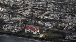 Bài học từ &#39;Ngôi nhà Thần kỳ&#39; sống sót giữa cảnh hủy diệt bởi cháy rừng Hawaii