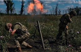 Chuyên gia Nga đánh giá kế hoạch B của phương Tây cho cuộc phản công của Ukraine