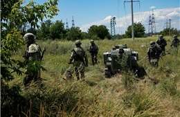 Các robot mặt đất bắt đầu xuất hiện trên chiến trường Ukraine