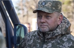 Bộ Quốc phòng Ukraine phản hồi tin Tổng tư lệnh Zaluzhny đã bị sa thải