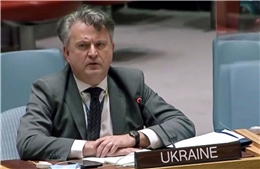 Nguyên nhân Ukraine không có đại sứ tại các nước đối tác chủ chốt trong nhiều tháng