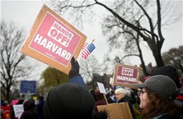 Đối đầu với Nhà Trắng, mọi kịch bản với Đại học Harvard đều bất lợi?