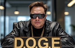 Elon Musk rút lui, DOGE vẫn quyết liệt cải tổ chính phủ Mỹ