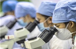 ‘Chất xám’ chảy ngược về Trung Quốc, đe dọa vị thế tiên phong đổi mới của Mỹ