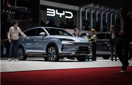 Cuộc lật đổ trên thị trường xe điện: Thế giới có 'vua EV’ mới