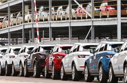 Vì sao 'bão thuế quan' của ông Trump chưa tàn phá kinh tế Mỹ như dự báo?