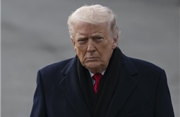 Châu Âu mở ‘mặt trận ngoại giao’ khẩn cấp ở Davos