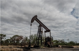 Dầu Venezuela trở lại: Dầu khí đá phiến Mỹ đối mặt phép thử sinh tồn