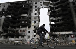 Những cơn địa chấn sau bốn năm cuộc chiến Ukraine 