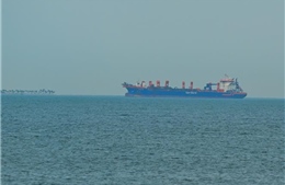 Những công cụ hạ giá dầu của Tổng thống Trump khi chiến sự Iran chưa kết thúc