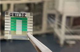 Australia tuyên bố chế tạo pin lượng tử đầu tiên trên thế giới, sạc trong 'tích tắc'