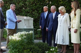Vua Charles và Hoàng hậu Camilla thăm tổ ong mới tại Nhà Trắng