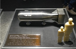 Mỹ muốn giao plutonium cấp vũ khí cho tư nhân sản xuất nhiên liệu