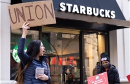 Thảm họa quảng cáo khiến Starbucks lao đao ở Hàn Quốc