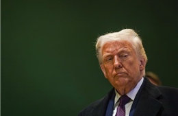 Ông Trump chuyển trọng tâm trở lại Ukraine: Đàm phán hòa bình đang ở đâu?