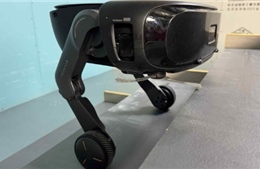 Robot dọn nhà Trung Quốc chiếm 70% thị phần toàn cầu không nhờ giá rẻ