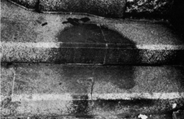 'Bóng người hằn trên đá': Dấu tích ám ảnh của bom nguyên tử Hiroshima - Kỳ 1