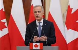 Canada tuyên bố đáp trả tương xứng 'từng đồng' với thuế quan 50% của Mỹ