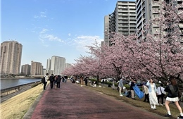 Nhật Bản 'sốt' cuộc đua giành vị trí thủ đô dự phòng cho Tokyo